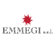 EMMEGI S.R.L.